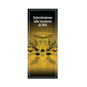 Introduzione alle riunioni di NA (IP29)