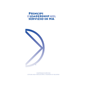 Principi e leadership nel servizio in NA